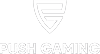 PUSH GAMING